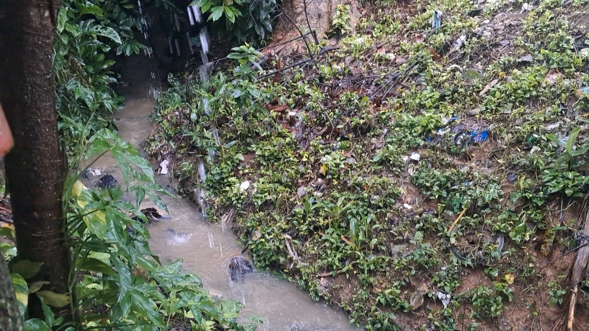 Cañada del INVI-CEA real en Villa Altagracia